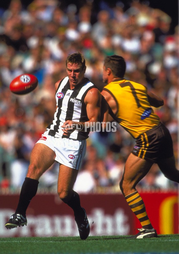 AFL 2001 Rd 1 - Collingwood v Hawthorn - 145079