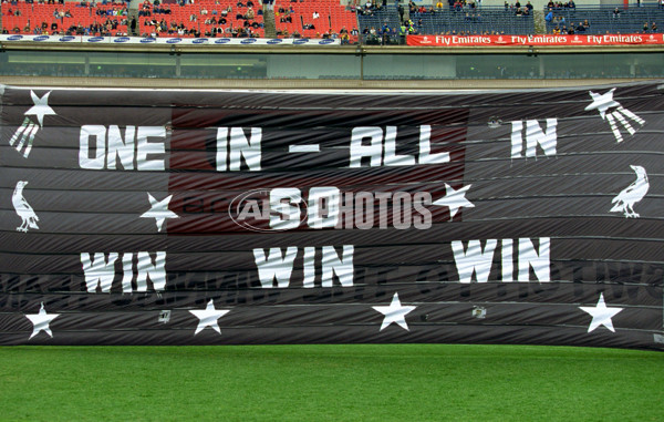 AFL 2001 Rd 16 - Collingwood v Hawthorn - 145171