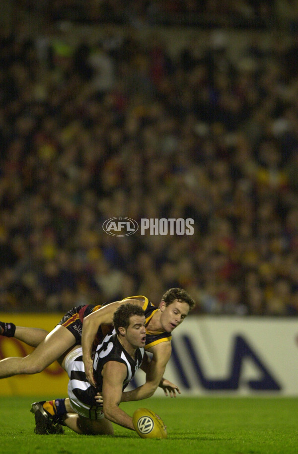AFL 2001 Rd 13 - Adelaide v Collingwood - 145261