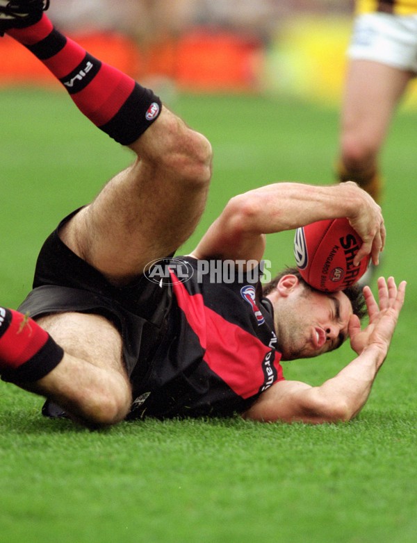 AFL 2001 1st Preliminary Final - Essendon v Hawthorn - 145339