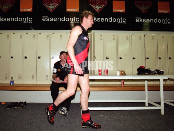 AFL 2001 1st Preliminary Final - Essendon v Hawthorn - 145374