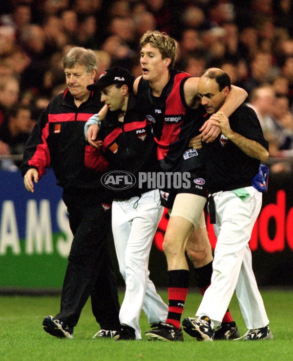 AFL 2001 Rd 12 - Essendon v Adelaide - 145402