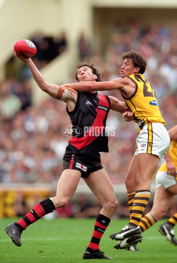 AFL 2001 1st Preliminary Final - Essendon v Hawthorn - 145340