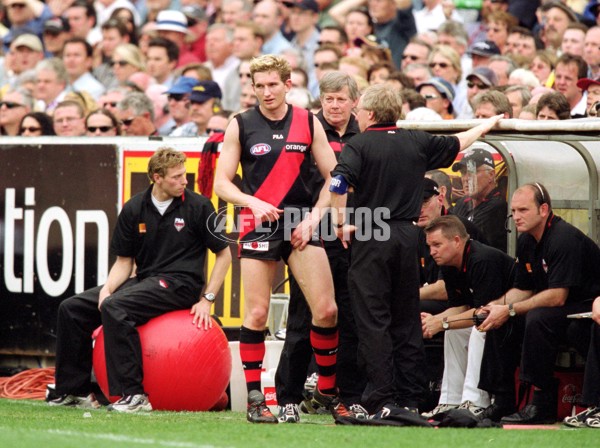 AFL 2001 1st Preliminary Final - Essendon v Hawthorn - 145391