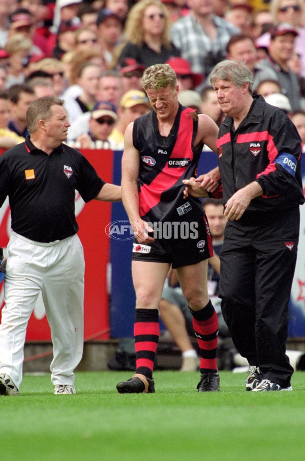 AFL 2001 1st Preliminary Final - Essendon v Hawthorn - 145463