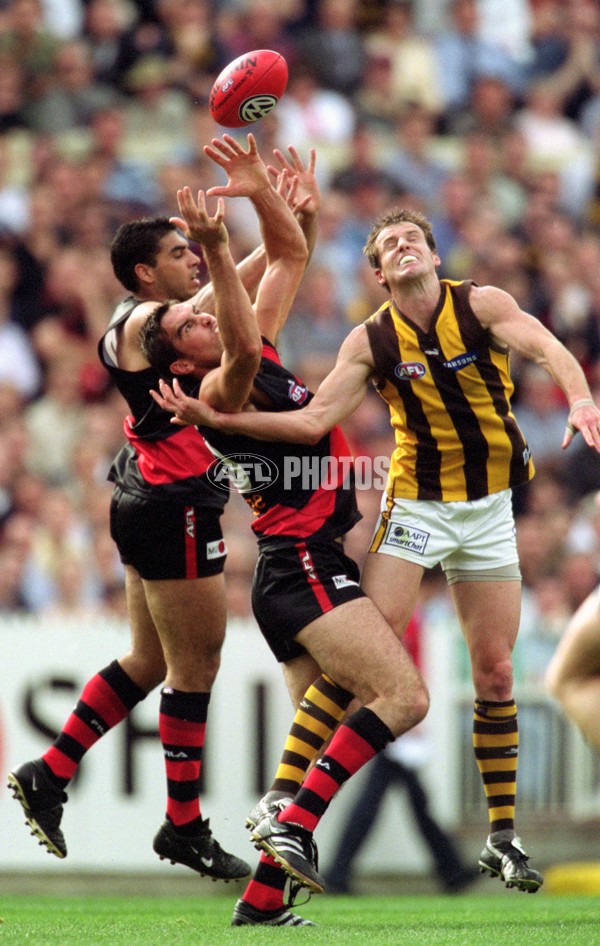 AFL 2001 1st Preliminary Final - Essendon v Hawthorn - 145486