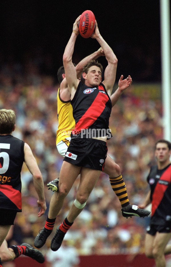 AFL 2001 1st Preliminary Final - Essendon v Hawthorn - 145444
