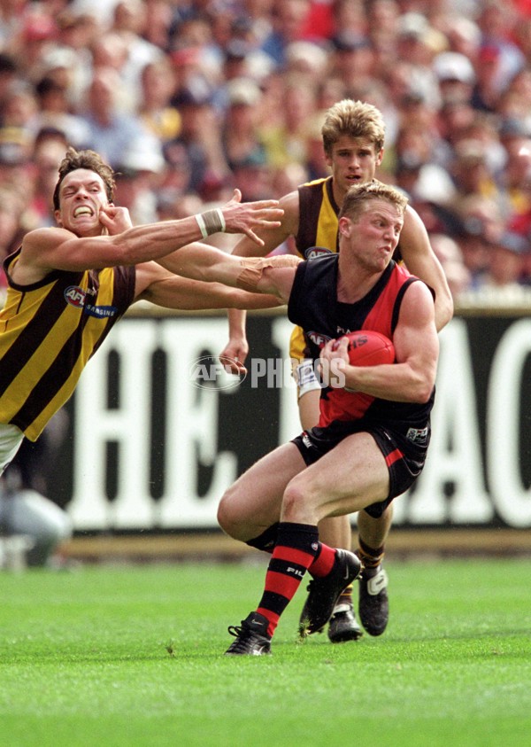 AFL 2001 1st Preliminary Final - Essendon v Hawthorn - 145453
