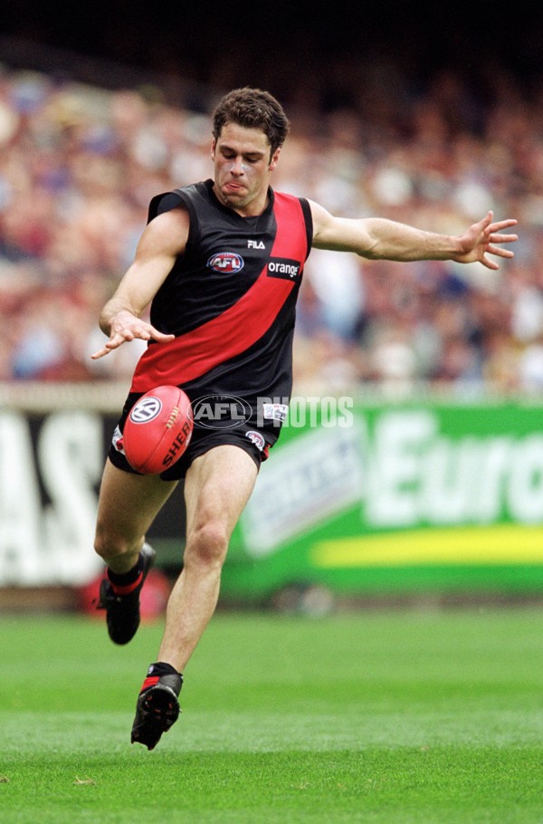 AFL 2001 1st Preliminary Final - Essendon v Hawthorn - 145482