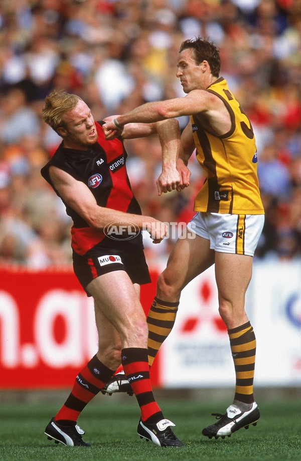 AFL 2001 1st Preliminary Final - Essendon v Hawthorn - 145469