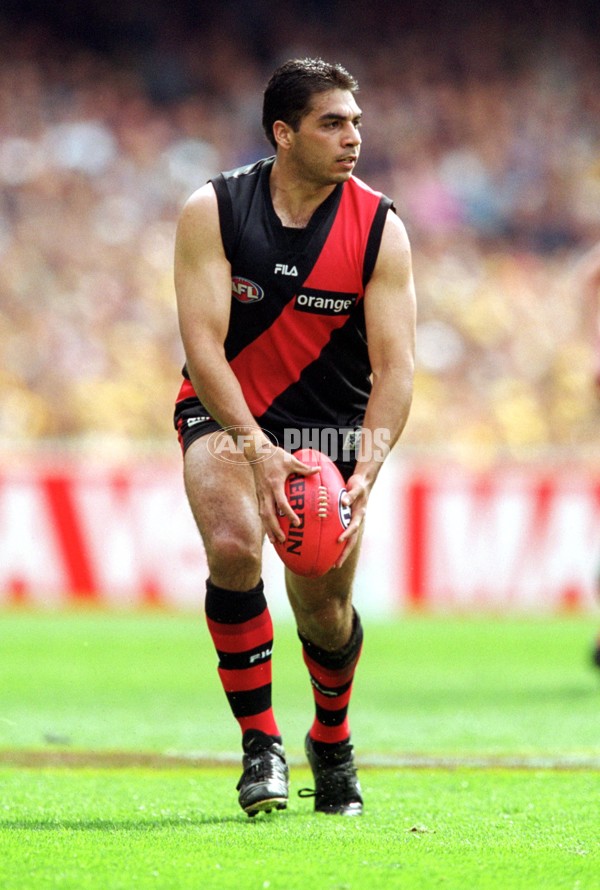 AFL 2001 1st Preliminary Final - Essendon v Hawthorn - 145500