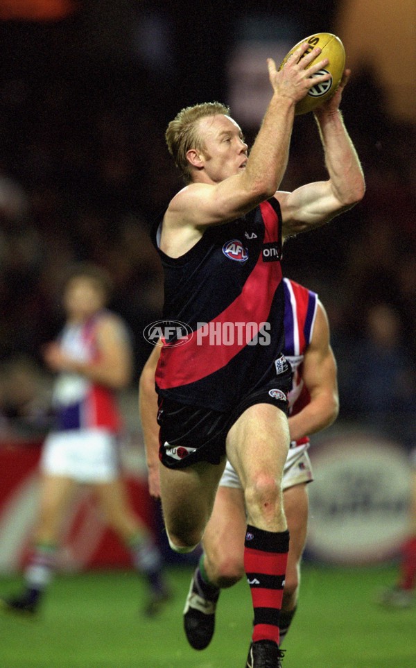 AFL 2001 Rd 13 - Essendon v Fremantle - 145599