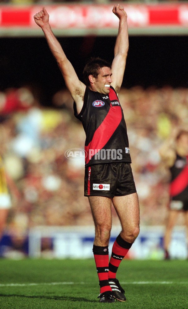 AFL 2001 1st Preliminary Final - Essendon v Hawthorn - 145825