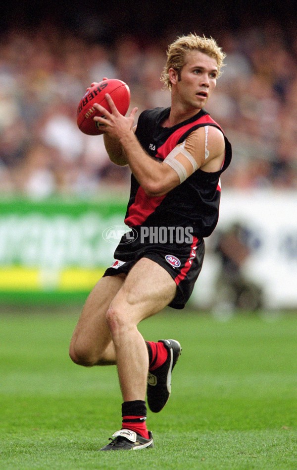 AFL 2001 1st Preliminary Final - Essendon v Hawthorn - 145822