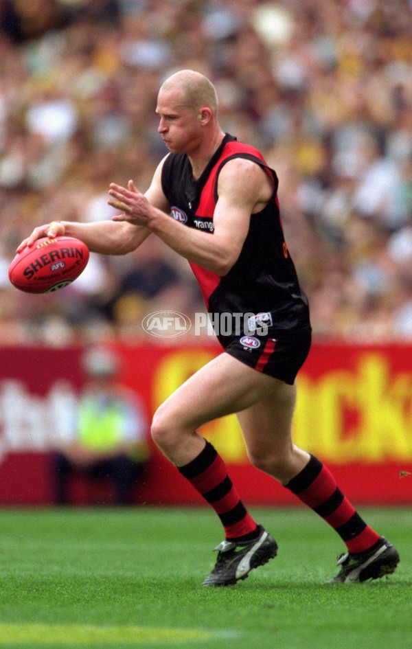 AFL 2001 1st Preliminary Final - Essendon v Hawthorn - 145819