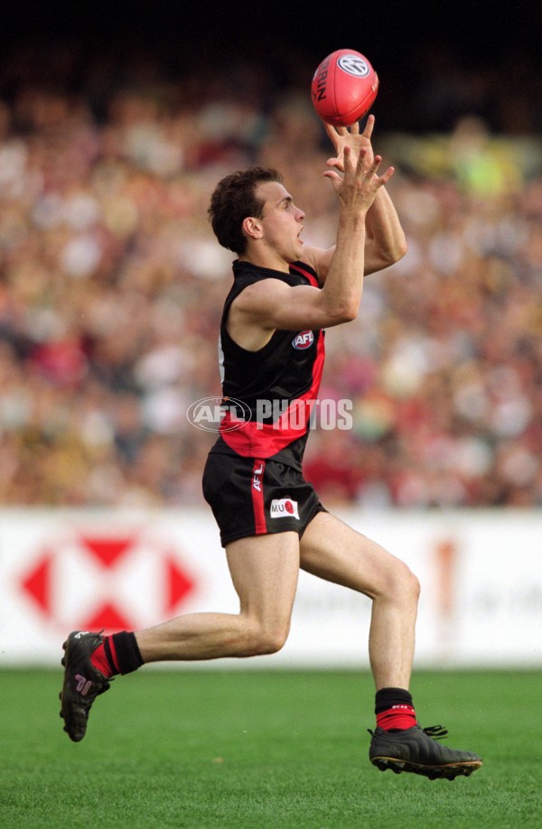 AFL 2001 1st Preliminary Final - Essendon v Hawthorn - 145823
