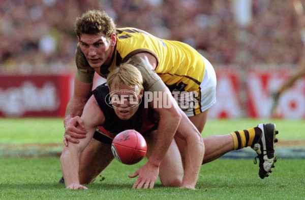 AFL 2001 1st Preliminary Final - Essendon v Hawthorn - 145832