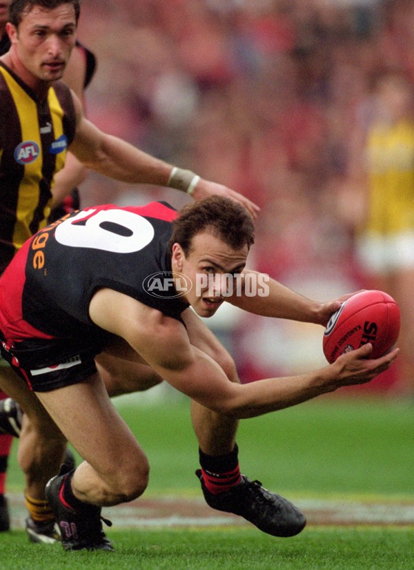 AFL 2001 1st Preliminary Final - Essendon v Hawthorn - 145829