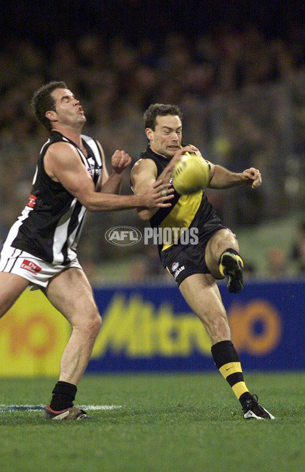 AFL 2001 Rd 18 - Richmond v Collingwood - 147021