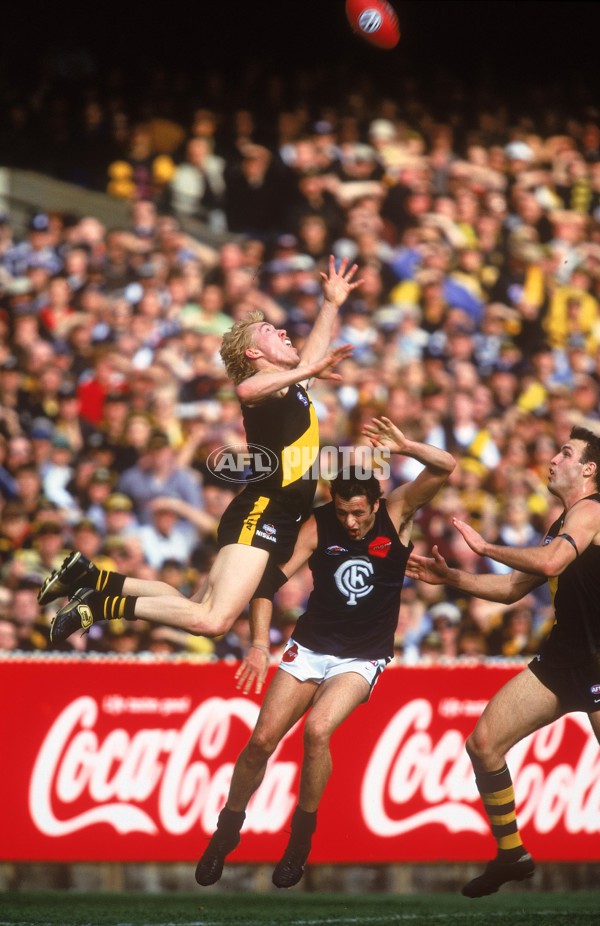 AFL 2001 1st Semi Final - Richmond v Carlton - 147400