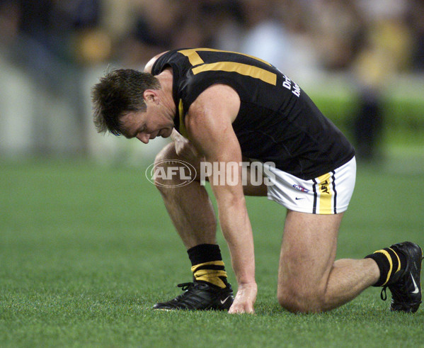 AFL 2001 2nd Preliminary Final - Brisbane v Richmond - 147488