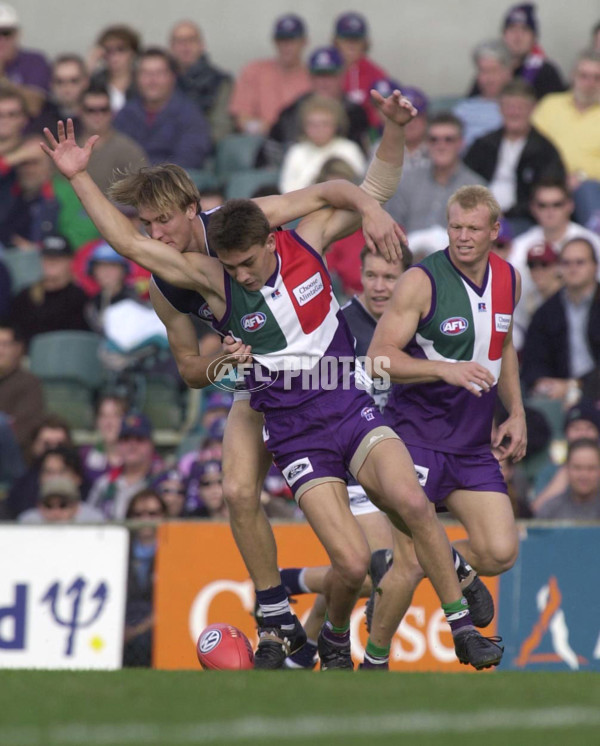 AFL 2001 Rd 8 - Fremantle v Geelong - 147513
