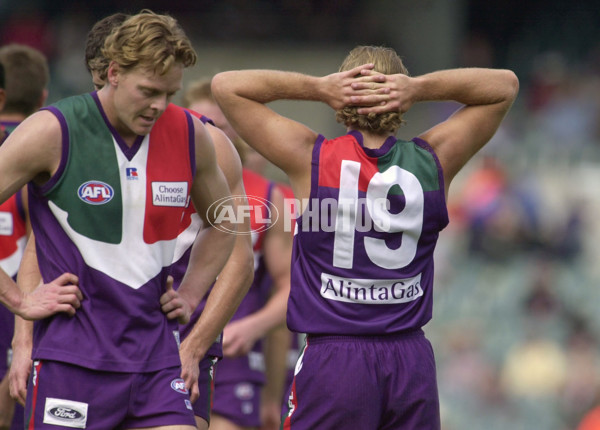 AFL 2001 Rd 20 - Fremantle v Brisbane - 147926
