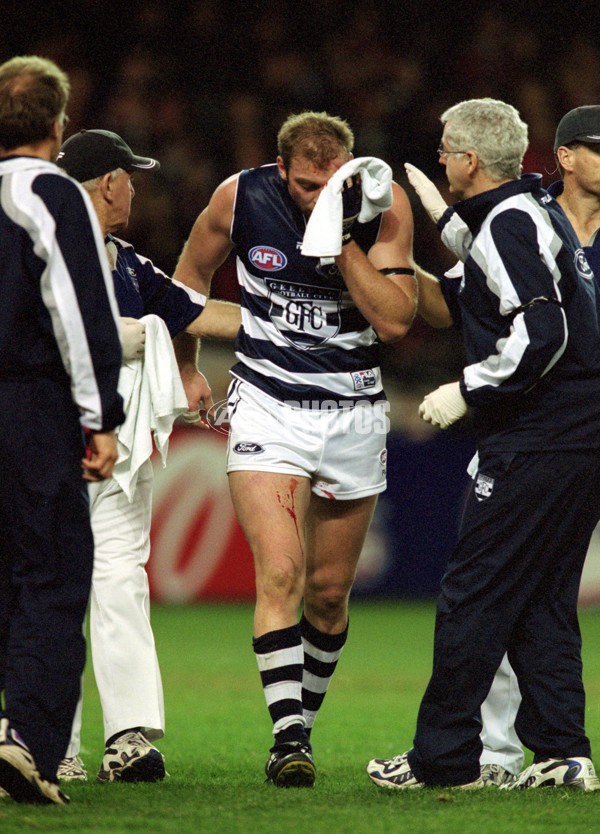 AFL 2001 Rd 15 - Essendon v Geelong - 147999