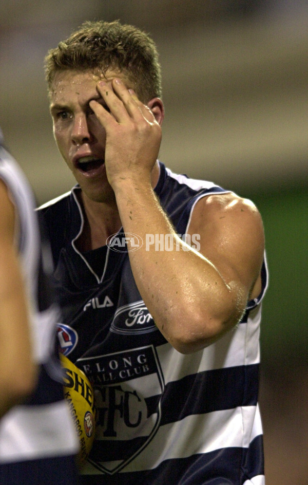 AFL 2001 Rd 6 - Brisbane v Geelong - 148243
