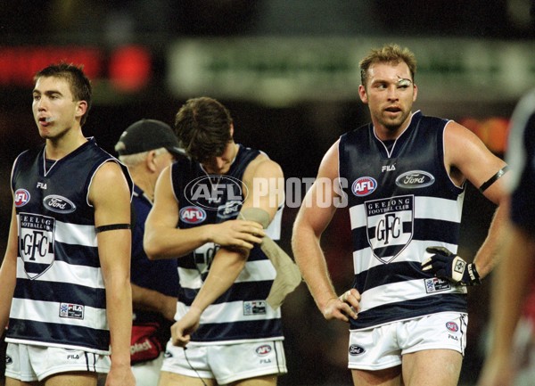 AFL 2001 Rd 15 - Essendon v Geelong - 148221