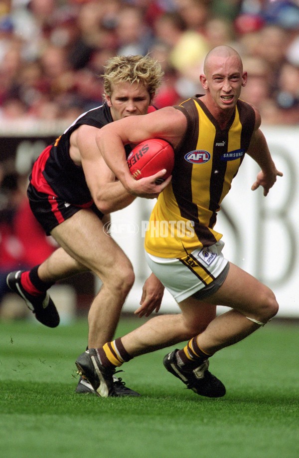 AFL 2001 1st Preliminary Final - Essendon v Hawthorn - 148380
