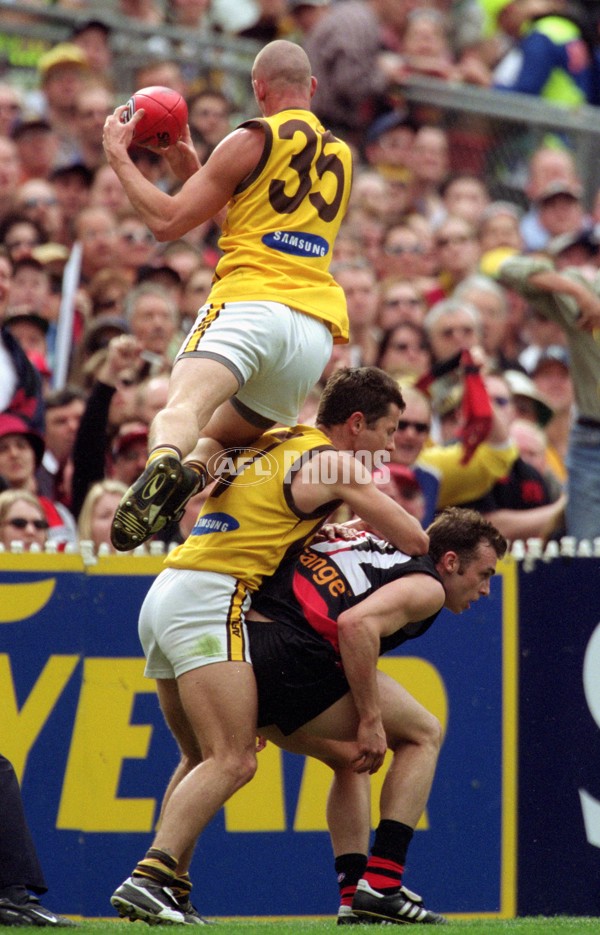 AFL 2001 1st Preliminary Final - Essendon v Hawthorn - 148362