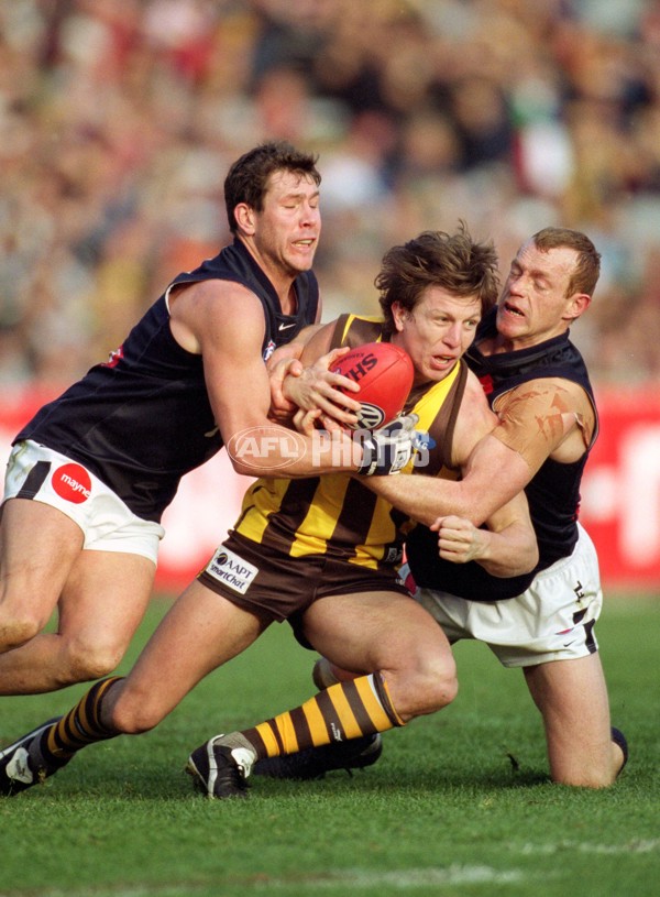 AFL 2001 Rd 17 - Hawthorn v Carlton - 148369