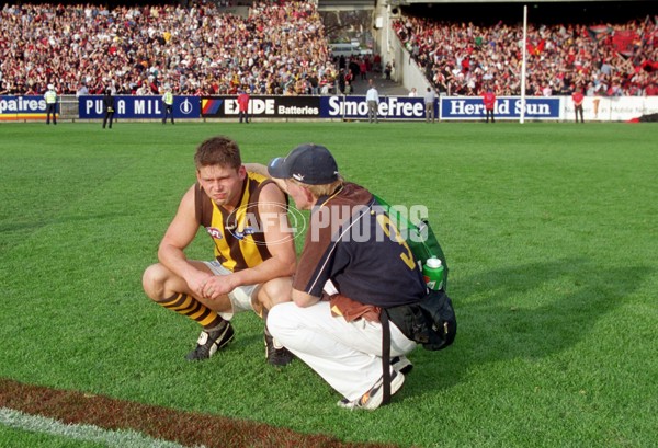 AFL 2001 1st Preliminary Final - Essendon v Hawthorn - 148387