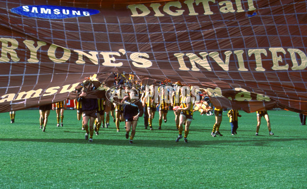 AFL 2001 Rd 17 - Hawthorn v Carlton - 148399