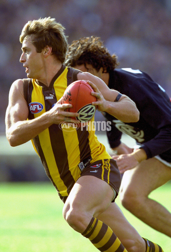 AFL 2001 Rd 17 - Hawthorn v Carlton - 148427