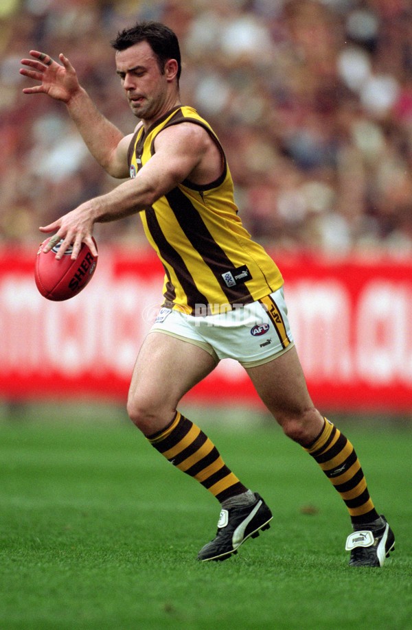 AFL 2001 1st Preliminary Final - Essendon v Hawthorn - 148467