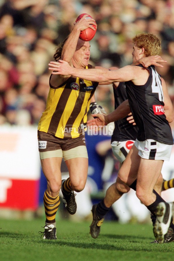 AFL 2001 Rd 17 - Hawthorn v Carlton - 148460