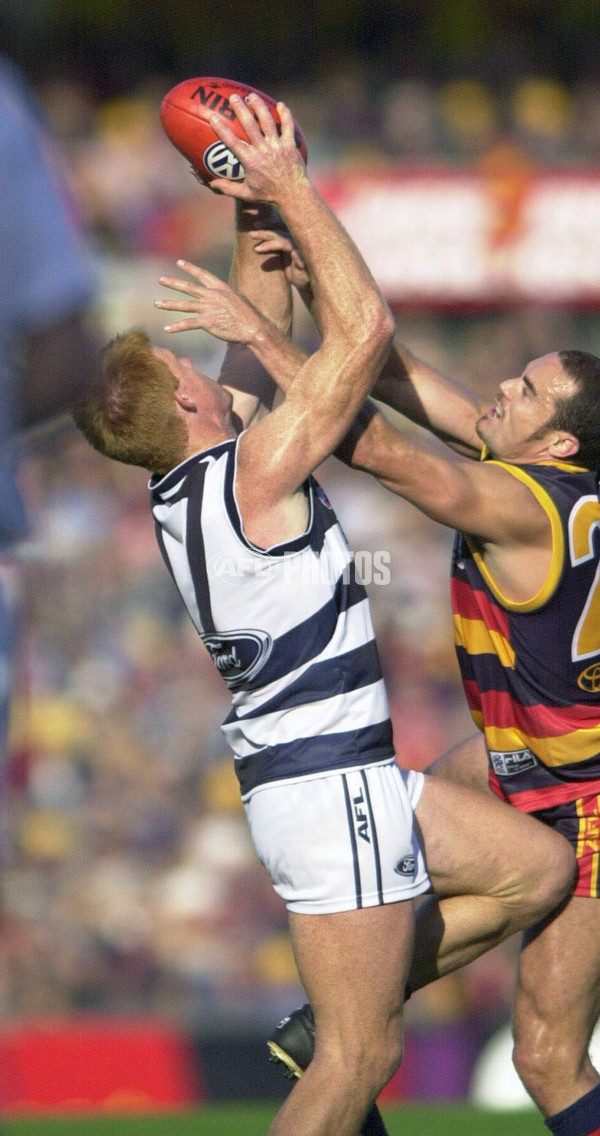 AFL 2001 Rd 10 - Adelaide v Geelong - 148297