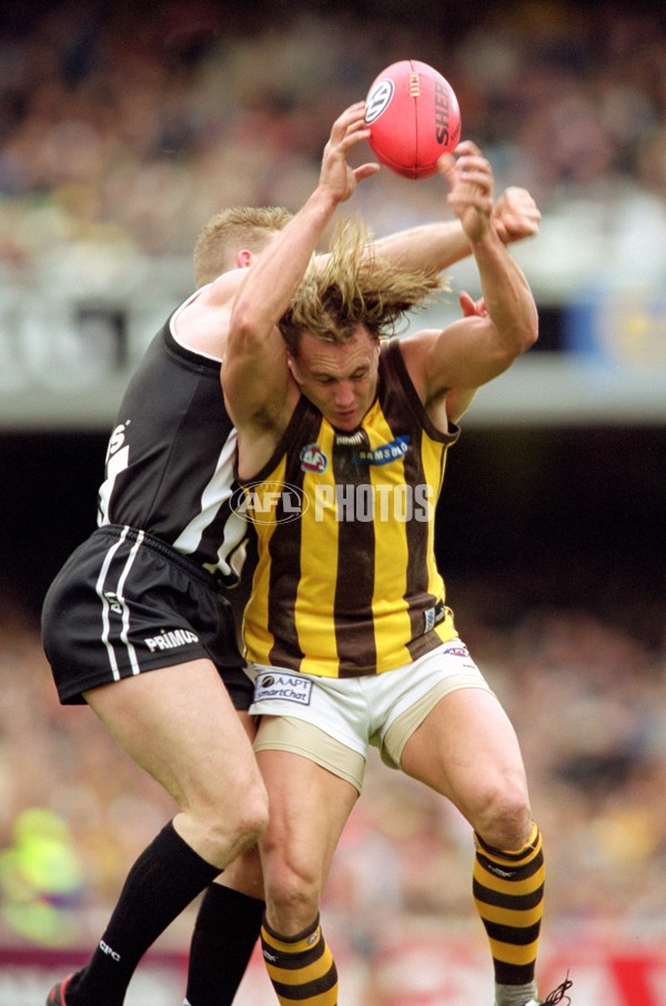AFL 2001 Rd 16 - Collingwood v Hawthorn - 148410