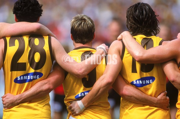 AFL 2001 1st Preliminary Final - Essendon v Hawthorn - 148411