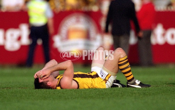 AFL 2001 1st Preliminary Final - Essendon v Hawthorn - 148444