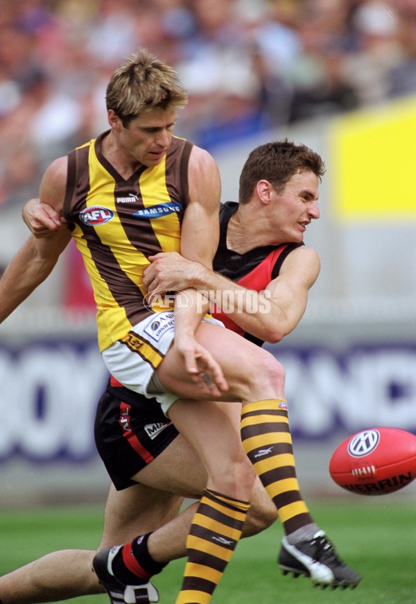 AFL 2001 1st Preliminary Final - Essendon v Hawthorn - 148433