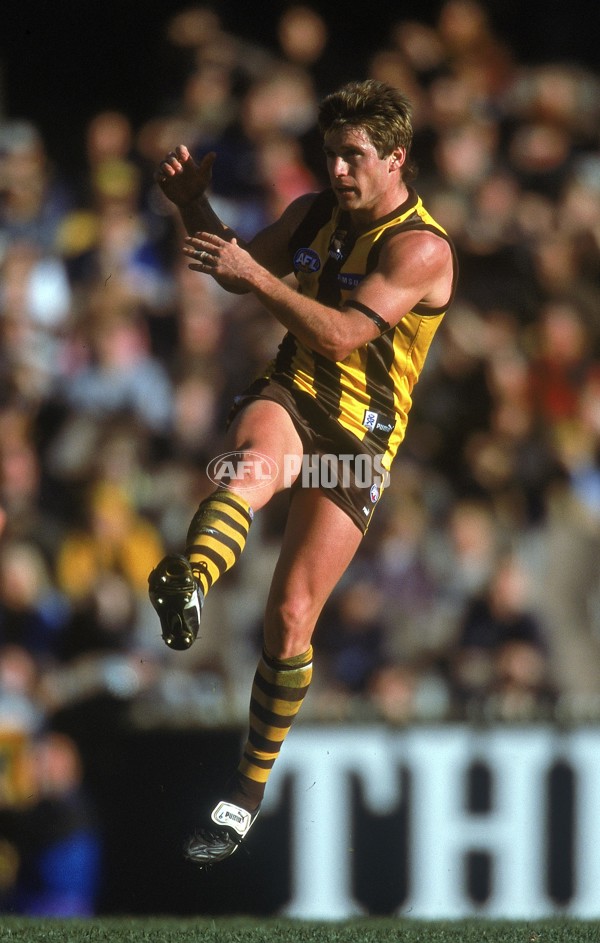 AFL 2001 Rd 17 - Hawthorn v Carlton - 148428