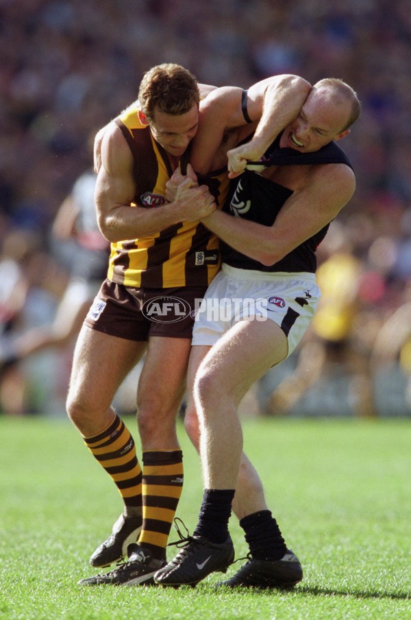 AFL 2001 Rd 17 - Hawthorn v Carlton - 148451