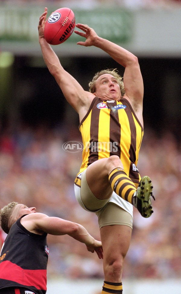 AFL 2001 1st Preliminary Final - Essendon v Hawthorn - 148434