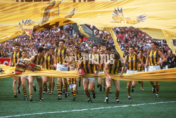AFL 2001 1st Preliminary Final - Essendon v Hawthorn - 148454