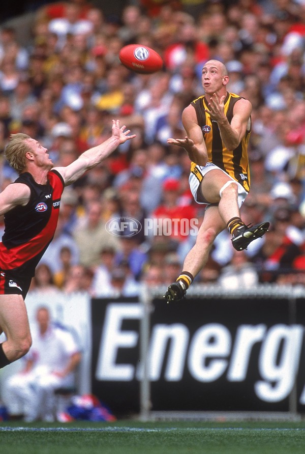 AFL 2001 1st Preliminary Final - Essendon v Hawthorn - 148457