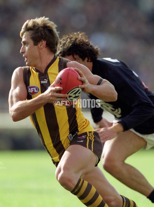 AFL 2001 Rd 17 - Hawthorn v Carlton - 148472