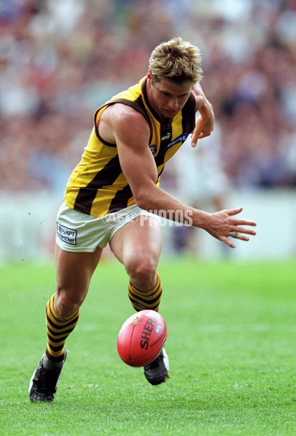 AFL 2001 1st Preliminary Final - Essendon v Hawthorn - 148465